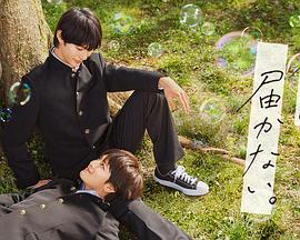 嘉兴正规新站seo优化价格